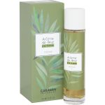 Apă de toaletă Vetiver, Arome de Fleur, 150ml, Femei