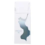 Ravine Ice, French Avenue, 100 ml EDP