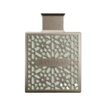 Terra, Rayhaan, 100 ml EDP