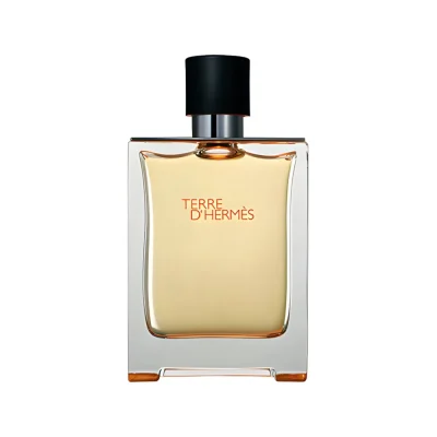 Terre d'Hermes, Hermes, 100ml, EDT