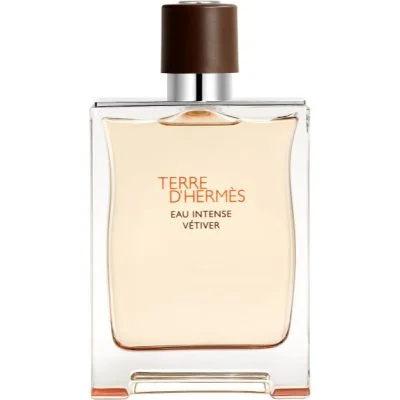 Hermes, Terre d'Hermes Eau Intense Vetiver, Apă de parfum, Pentru bărbați, 200 ml *Tester